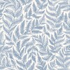 Ferns