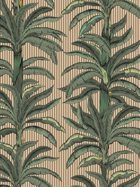 Rayure Palmier