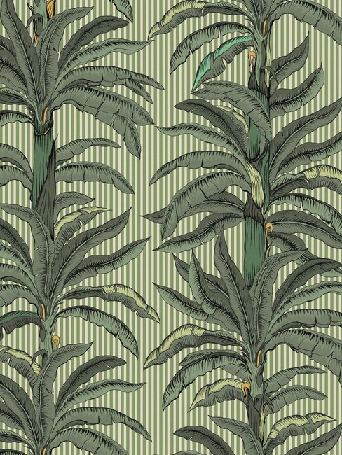 Rayure Palmier