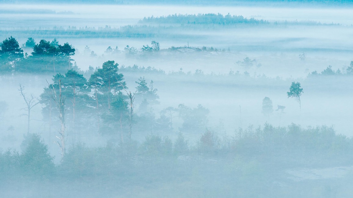 Marie Mattsson Dimhav