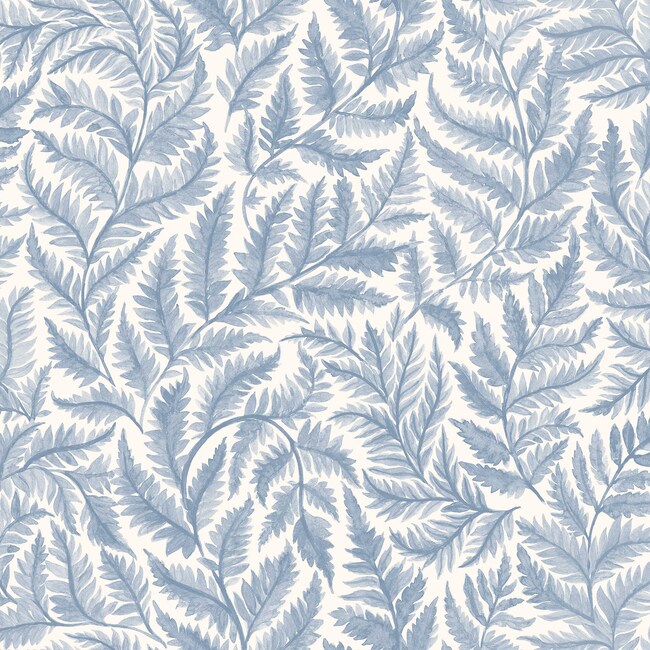 Ferns
