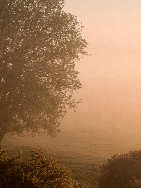 Marie Mattsson Kultmarken