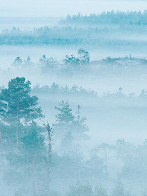 Marie Mattsson Dimhav