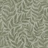 Ferns