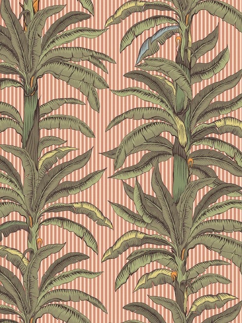 Rayure Palmier