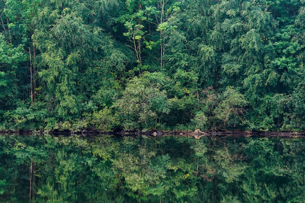 Marie Mattsson Sommarreflektion