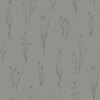 Moorland