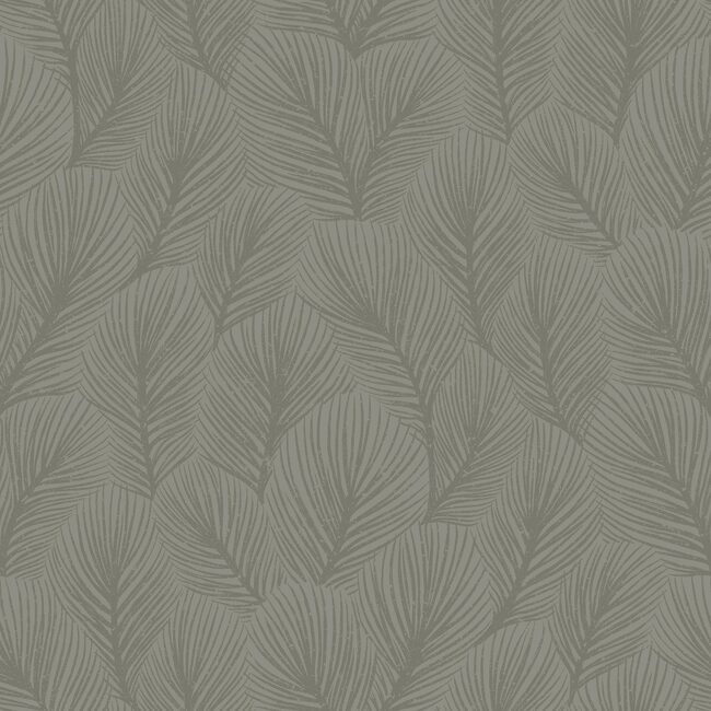 Pine Tree