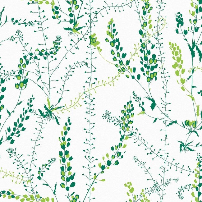 Arne Jacobsen Bladranker