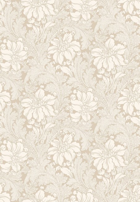 Acanthus