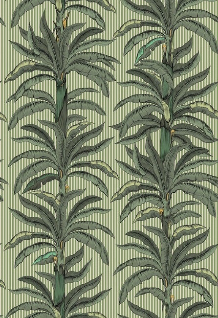 Rayure Palmier