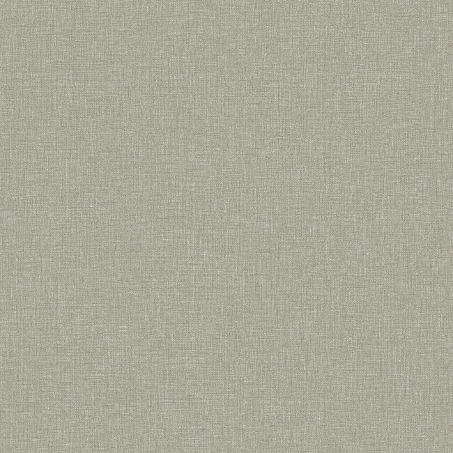 Canvas Olive