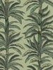 Rayure Palmier
