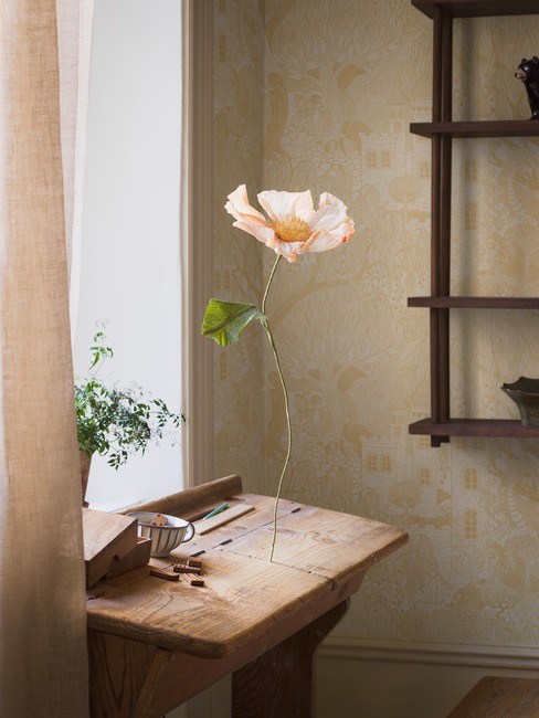 Kingdom of the Willow