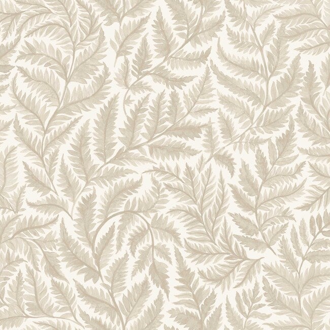 Ferns