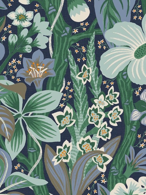 Hanna Werning Friviva