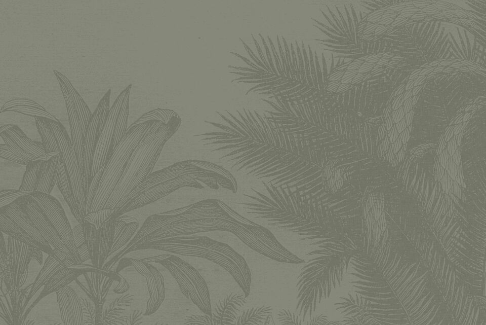 bt2337_camp_studio_usp_vintage.jpg